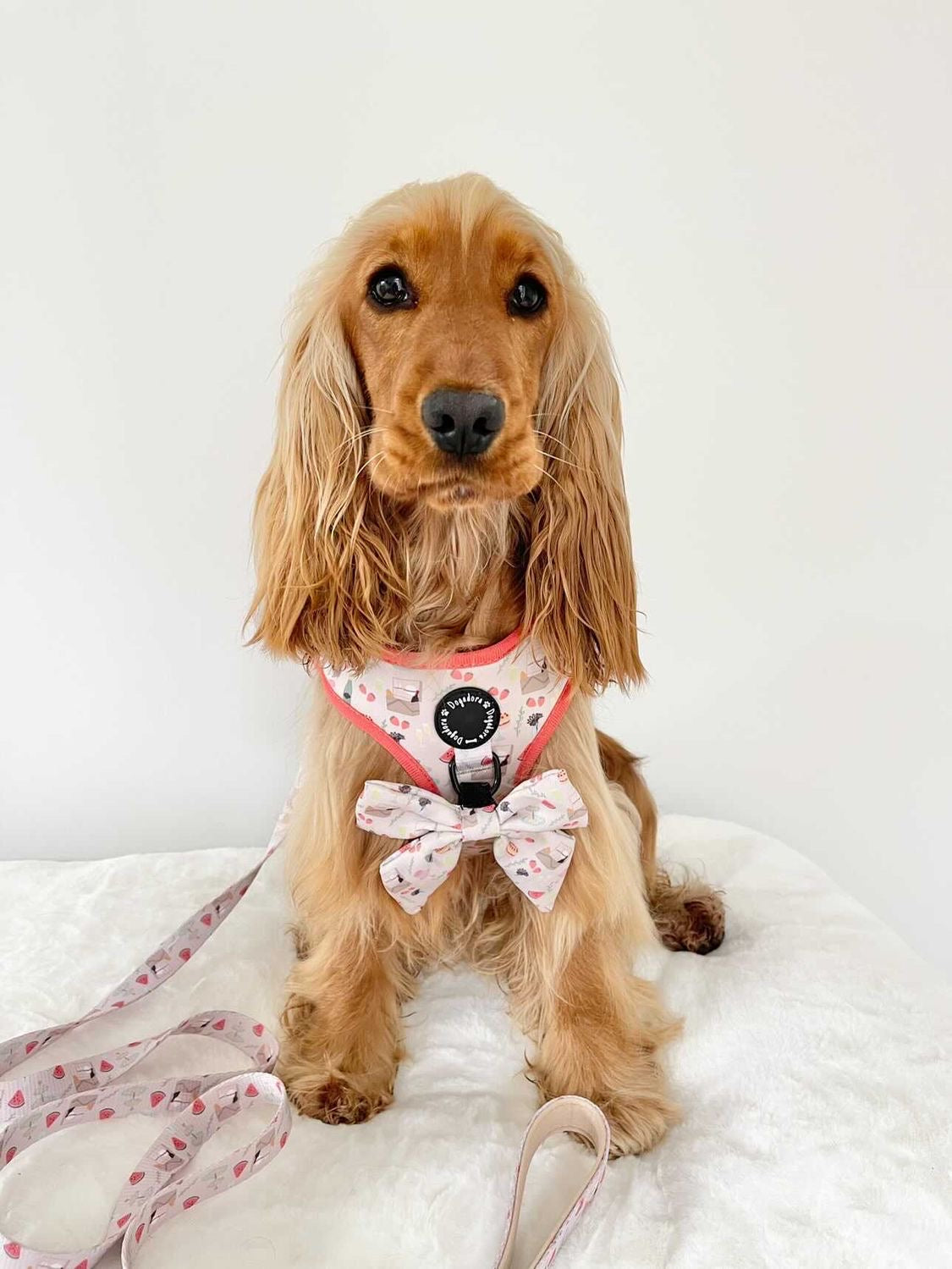 Picnics & Pawsecco Bow Tie