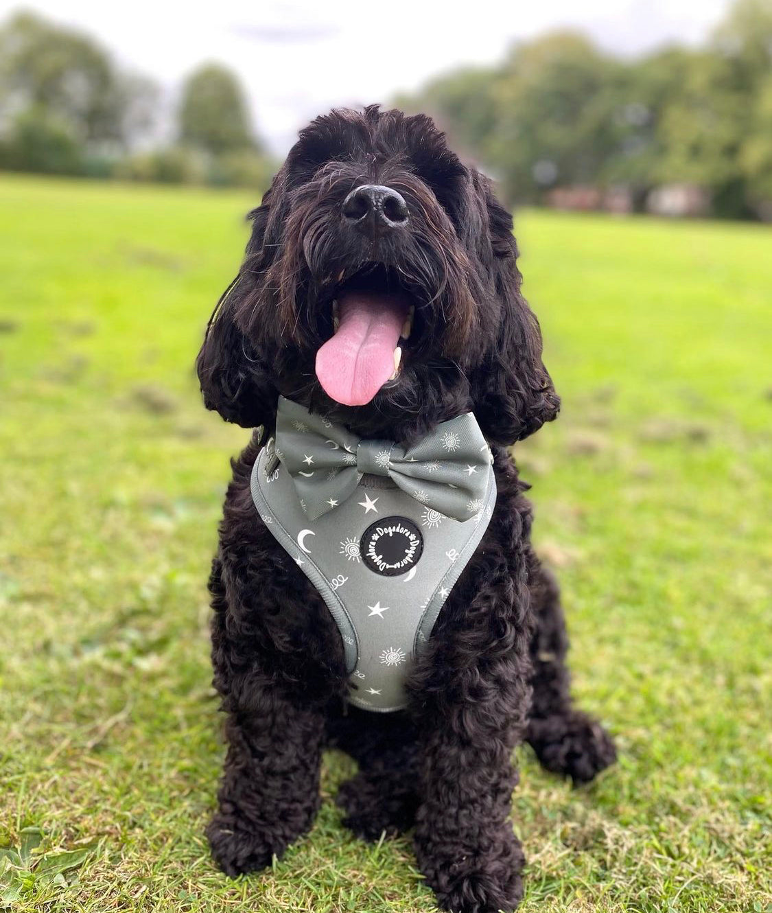 Moments of Magic Fully Adjustable Dog Harness