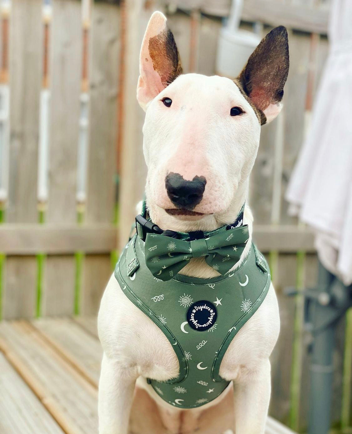 Moments of Magic Fully Adjustable Dog Harness