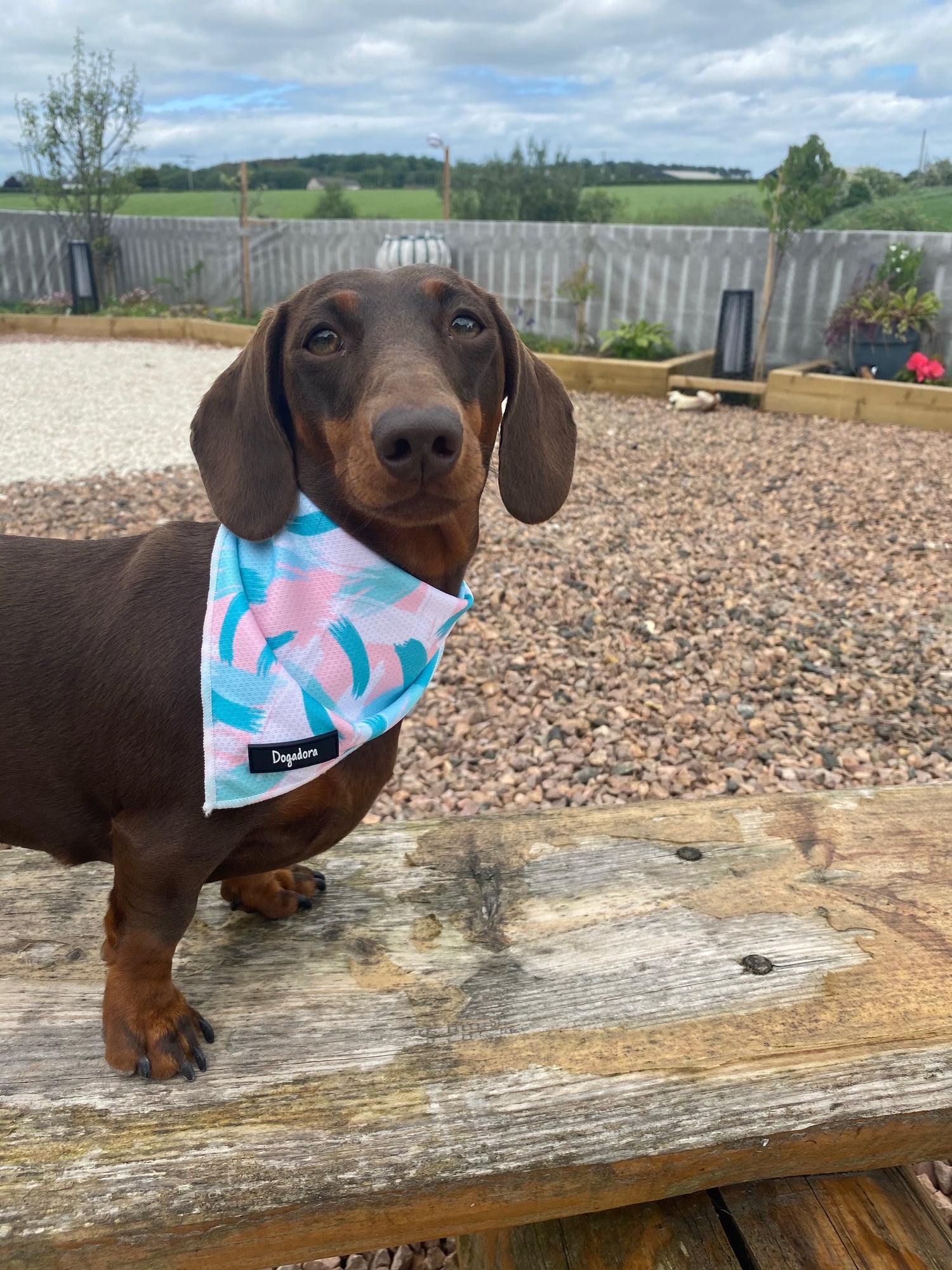 Bandanas