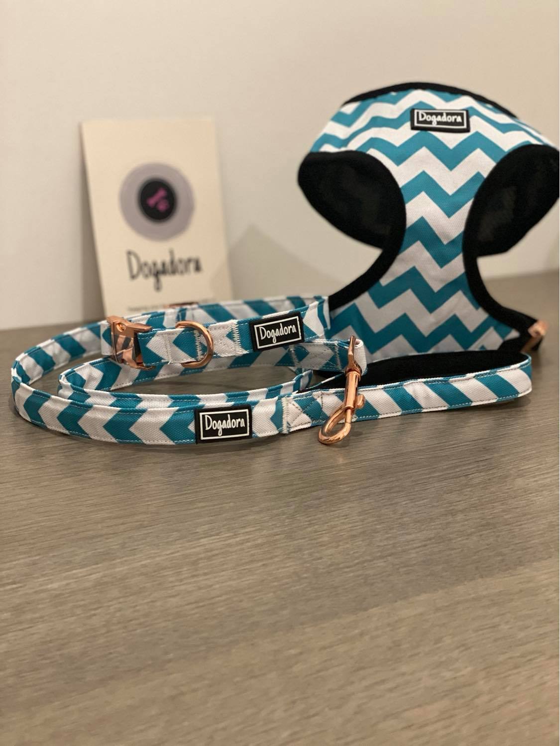 mint green zigzag full set - collar, lead and harness