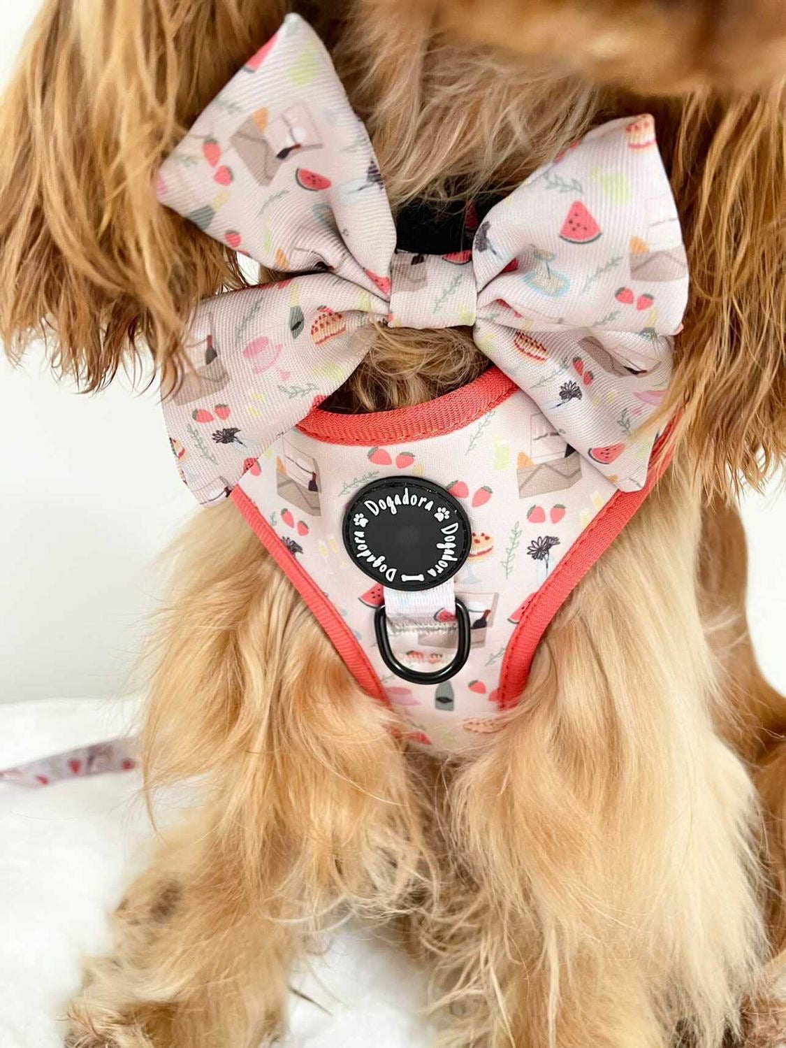 Picnics & Pawsecco Fully Adjustable Dog Harness