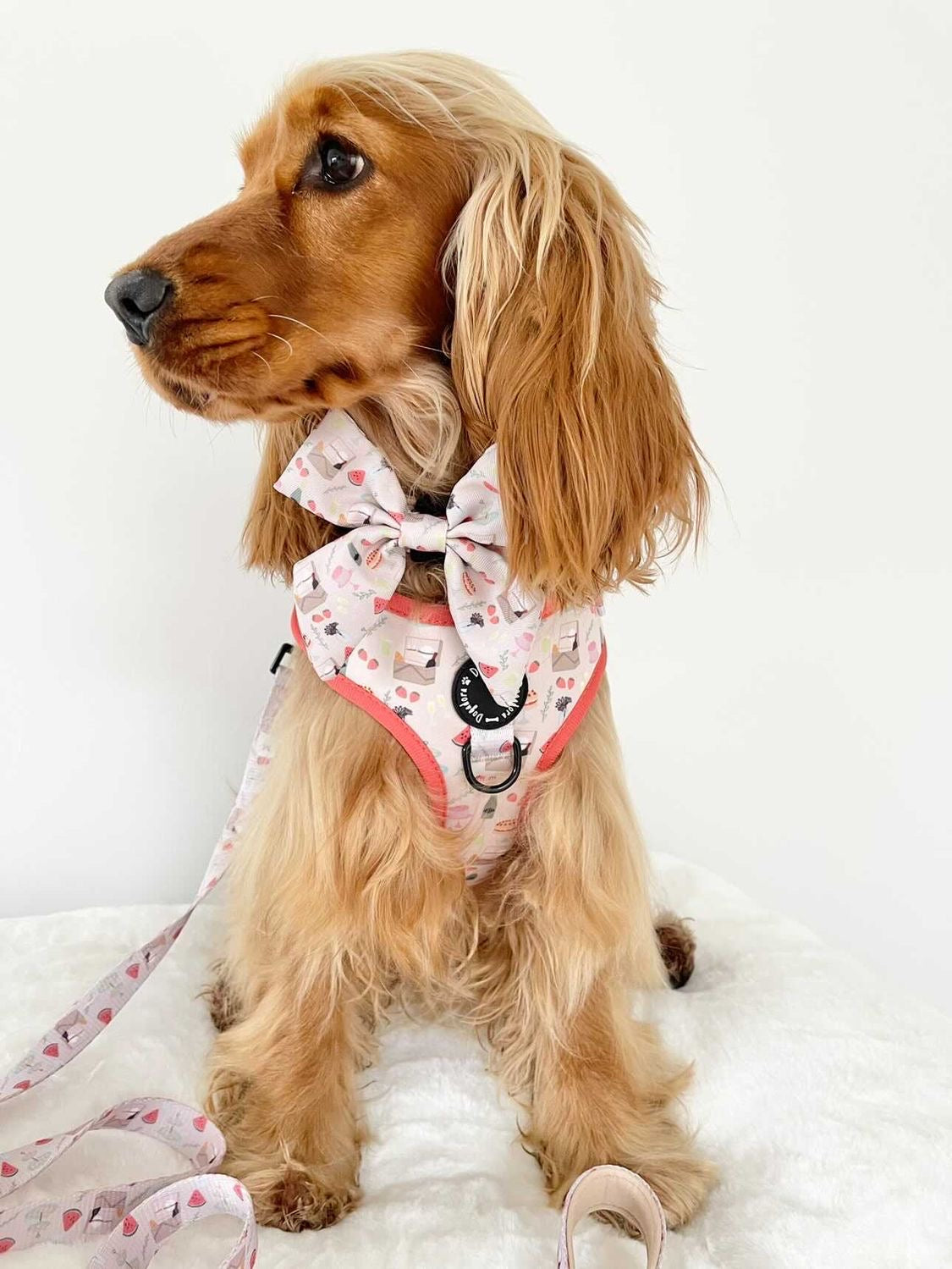 Picnics & Pawsecco Fully Adjustable Dog Harness